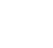 Bankruptcy and Restructuring